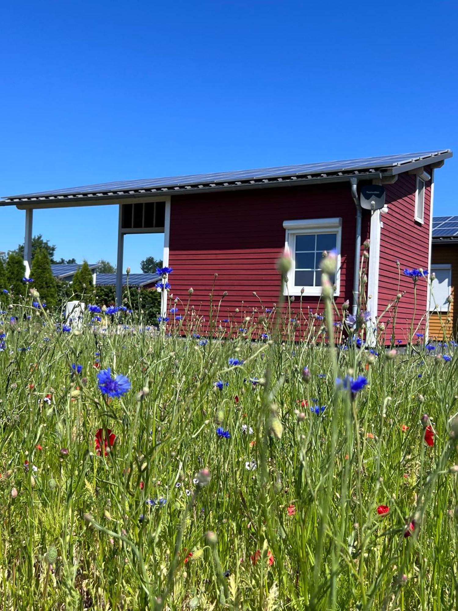 فندق Emsland-Camp Haar  المظهر الخارجي الصورة
